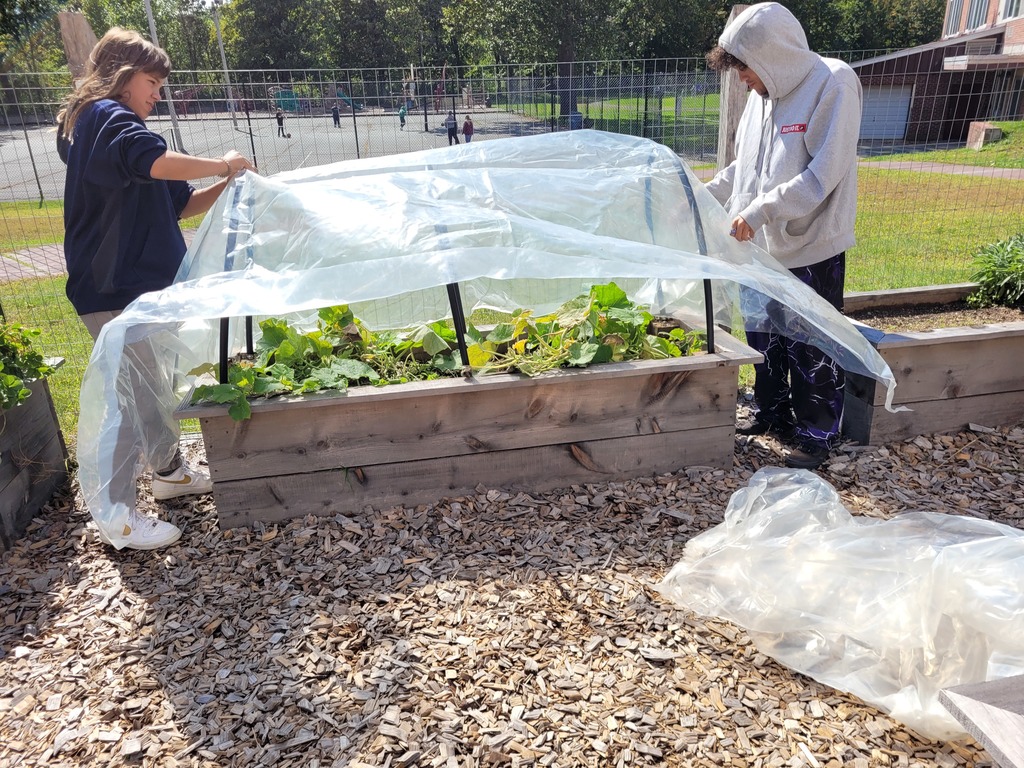 two students cover a garden bed with plastic over hoops.