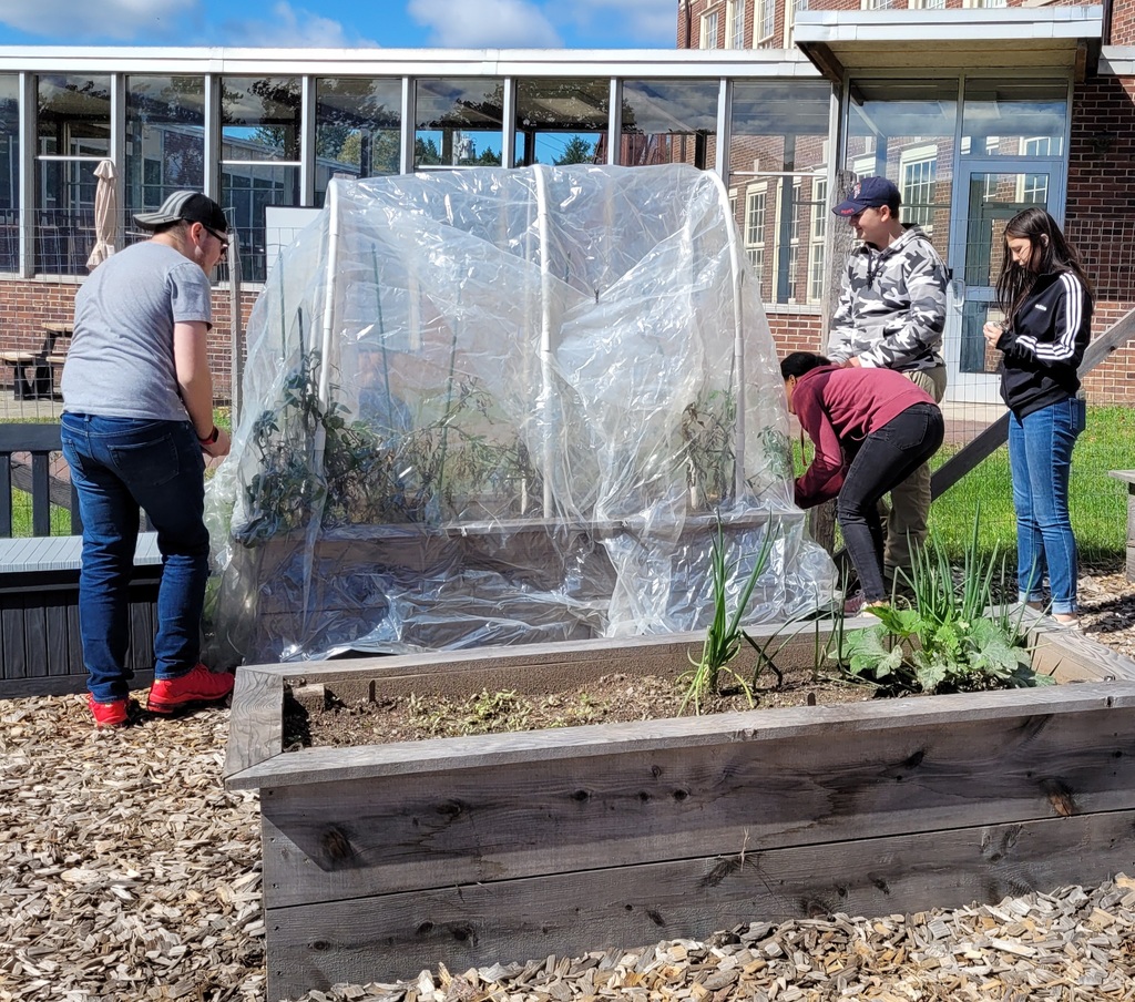Students cover a garden bed with plastic over hoops.