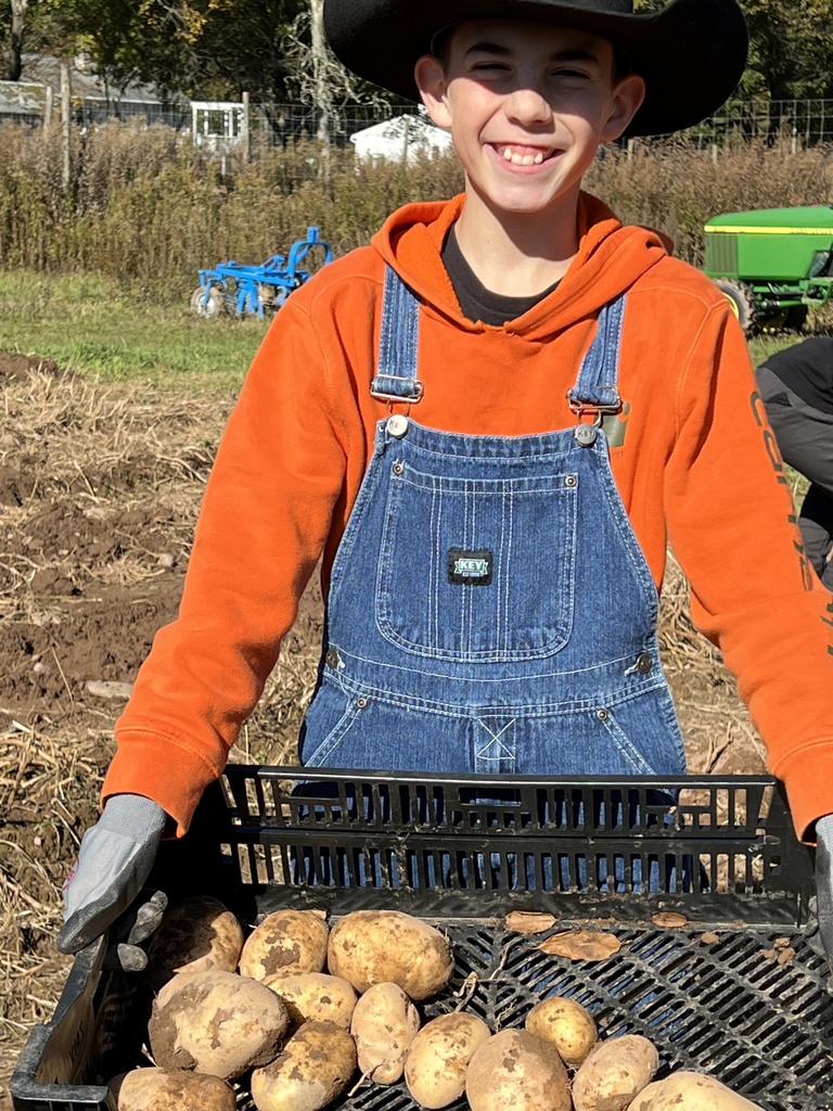 A student holds a tray with freshly picked potatoes