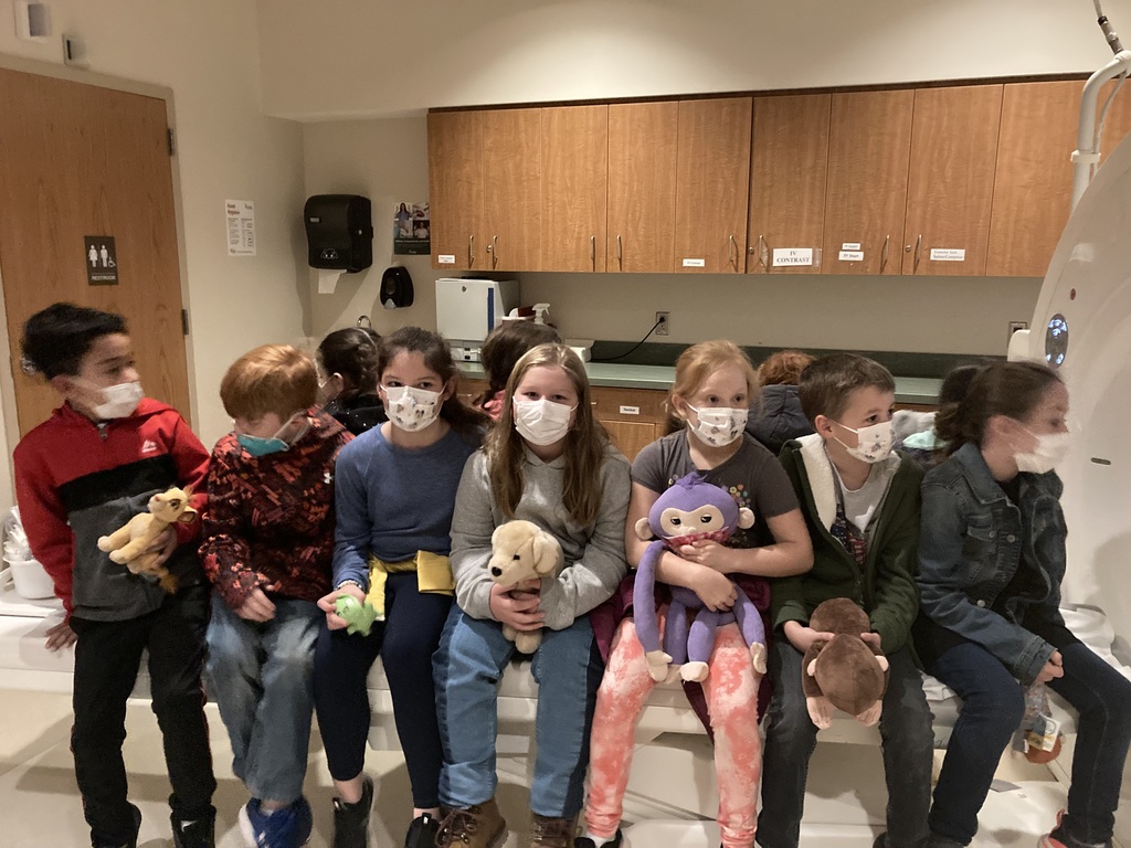 Students, with their stuffed animals, sit on a hospital bed