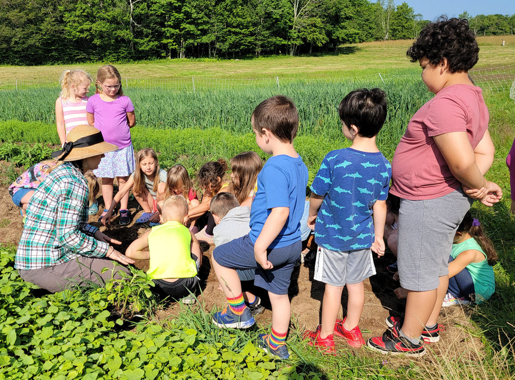 Students stand in a field learning about planting