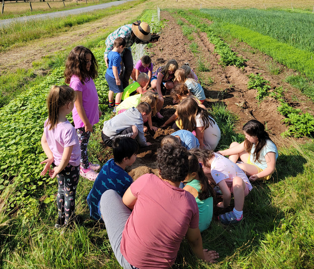 Students plant in a field under the supervision of an adult