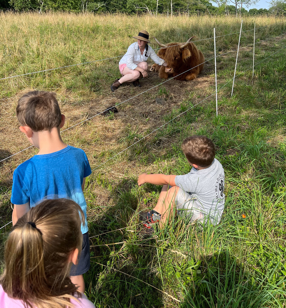 An adult pets a Scottish Highland cow behind a fence as students watch.
