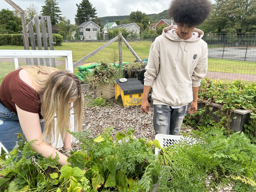 To students pick vegetables in the garden