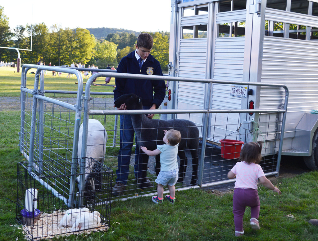 A student in an FFA jacket stands in a pen with sheep as a toddler pets one and another toddler stands behind.
