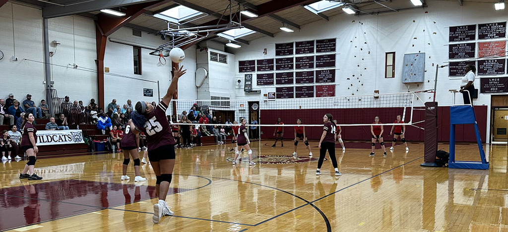 A volleyball player serves as her teammates and opposing players watch.