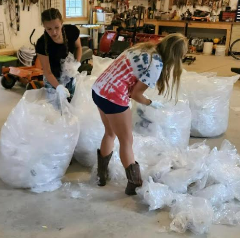 Two students sort through plastic bags